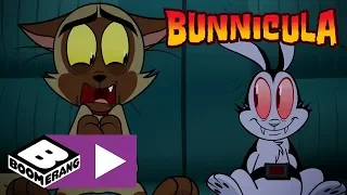 Bunnicula | Spooky Road Trip | Boomerang UK 🇬🇧