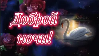 Доброй ночи!