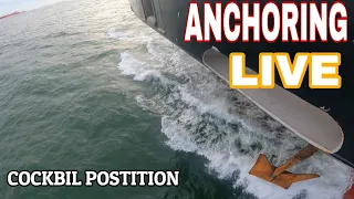 Anchoring|Anchor Station|How To Do Anchor|Anchor