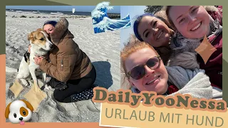 Erster Urlaub mit HUND - XXL VLOG - 17.-21.3.2022 - DailyYooNessa #1585