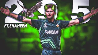 295 Ft. Shaheen Afridi | Beat Sync | Shaheen Afridi Attitude Status