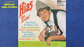 Original Ligister Trio - Übern'n Laurenziberg (1981)