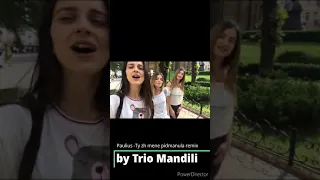 Paulius -Ty zh mene pidmanula  remix(by Trio Mandili)