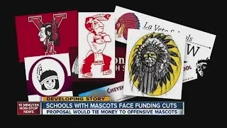Bill would defund schools with offensive mascots
