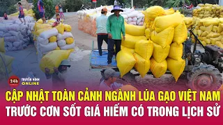 Cập nhật toàn cảnh ngành lúa gạo Việt Nam trước cơn sốt giá hiếm có trong lịch sử | Tin mới nhất