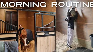 Equestrian barn morning routine! feeding, mucking out etc.