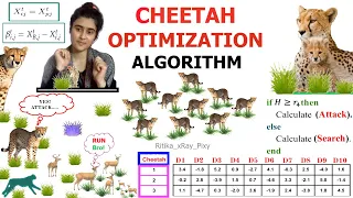 Cheetah Optimizer || STEP-BY-STEP || ~xRay Pixy