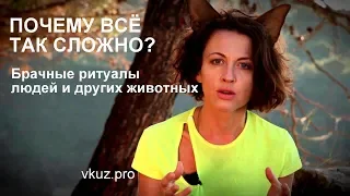 Выбор партнёра: почему все так сложно? // лекция "Всё как у зверей"