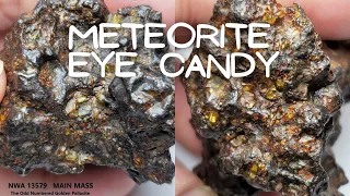 Meteorites! Show & Tell, Oriented, Iron Meteorites, Rare Pallasite, Thin Sections, Science Chat Fun