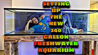 Setting up my NEW [ 8ft ] 240 GALLON FRESHWATER AQUARIUM!!