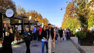 Iasi, Celebrating the Holiday Spirit: A Vibrant Stroll Along Stefan Cel Mare Boulevard (part I)