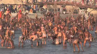 Best of Allahabad Kumbh mela - World's largest religious gathering