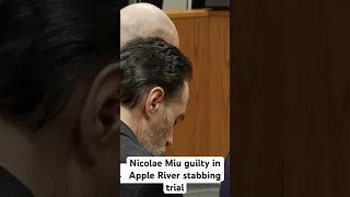 Nicolae Miu found guilty in Apple River stabbing case
