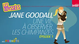 Jane Goodall, une vie à observer les chimpanzés, épisode 1 - Les odyssées