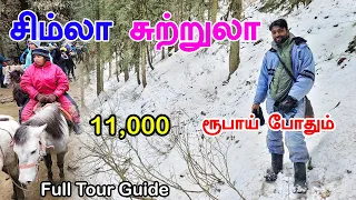 Shimla Tourist Places | சிம்லா சுற்றுலா 11000 போதும் | Shimla Tour Guide in tamil | Mr Ajin Vlogs