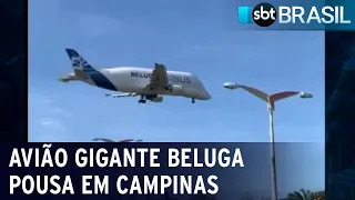 Aeronave gigante Beluga pousa em Campinas | SBT Brasil (25/07/22)