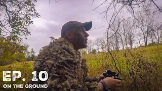 Big Buck Walks Out In Front Of Me- PA Archery Season 2019 Ep. 10