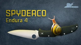 Ни убавить, ни прибавить - Spyderco Endura 4  #Ножи #Spyderco
