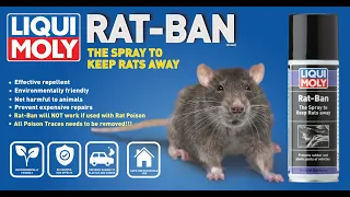 Liqui Moly Rat Ban - The Spray to Keep Rats Away