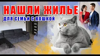 Как снять квартиру в Польше? Заселяем семью с детьми и кошкой.