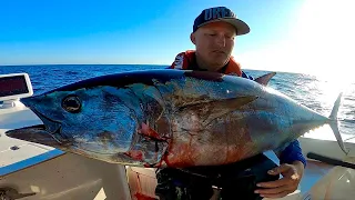 Chasing Bluefin Tuna Foamers in Southern California! (Catch, Clean and Cook)