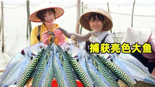 Yumei fell from cage into sea  caught 2 baskets of seafood. Big catch! [Fishing sis]