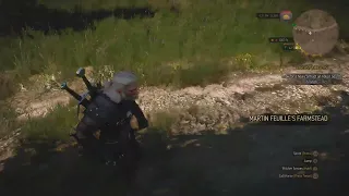 PS5 grass popping glitch -The Witcher 3 Complete Edition