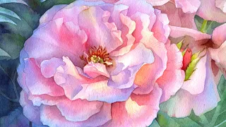 Evening Light Rose 🌹 Advanced Watercolor Tutorial