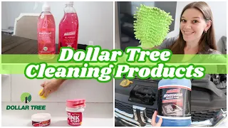 TESTING DOLLAR TREE CLEANING PRODUCTS 2023