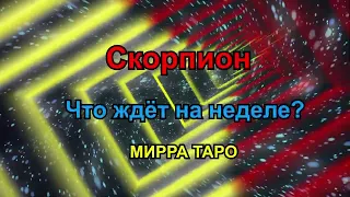 Скорпион. Что ждёт на неделе?