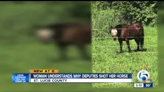 Horse gets loose, runs onto interstate