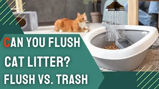 Can You Flush Cat Litter? 🐱🚽 | What You Need to Know!