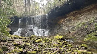 A Solo Hike to Calista Falls in Big South Fork.  High Winds, Spring Wildflowers & the Robot of BSF!