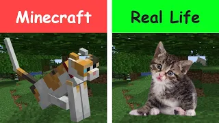 Realistic minecraft | Realistic water | lava | Slime block | minecraft vs real life funny