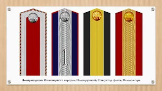 Образцовые погоны подпрапорщиков и им равных армии Российской империи