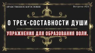 Упражнения для образования ВОЛИ  /  НРАВСТВЕННОЕ БОГОСЛОВИЕ. Exercises for the formation of WILL