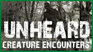 28 UNHEARD SCARY CREATURE ENCOUNTER HORROR STORIES