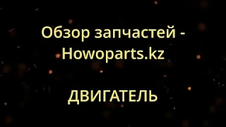 Двигатель Howo, Shakman модель WD10G220E21