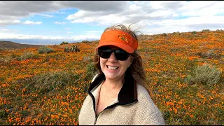 Visiting the Antelope Valley Poppy Reserve 2022