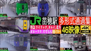 4K / 札幌駅からわずか一駅の地上駅 苗穂駅 JR北海道の多種多様な特急が見れる!! 今は亡き車両も活躍!! キハ283系 おおぞら, キハ183系 オホーツク, 789系 カムイ, ライラック