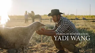 Stories of Regeneration: Yadi Wang