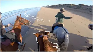 Une Balade à la Plage/Forêt qui tourne mal ... [GO PRO]