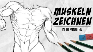 Muskeln zeichnen lernen - in 10 Minuten (Arme, Brust, Sixpack) | Drawinglikeasir