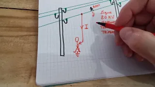 Pourquoi les oiseaux ne se font pas électrocutés lorsqu'ils se posent sur les lignes sous tension ?