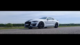 Ford Mustang GT 5.0 V8