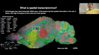 W31: Spatial Transcriptomics – Day 1