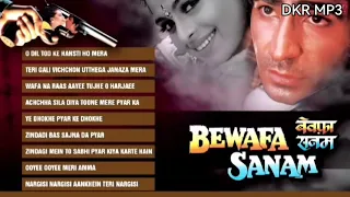 Bewafa Sanam' Movie Full Songs Krishan Kumar, Shilpa Shirodkar Jukebox💕DKR MP3💕