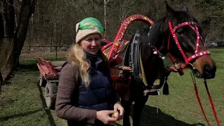 Утром жокей, вечером художник