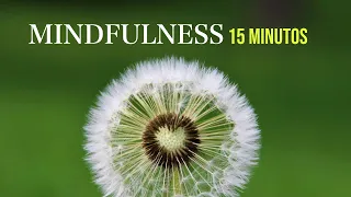 Meditación Guiada Mindfulness 15 Minutos RESPIRACIÓN-RELAJACIÓN