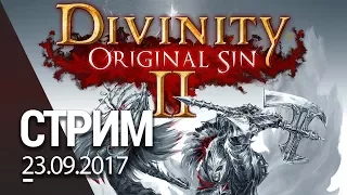 Для души // Divinity: Original Sin 2 - 1440р